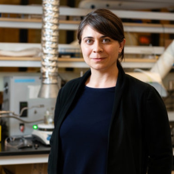 Prof. Desiree Plata
